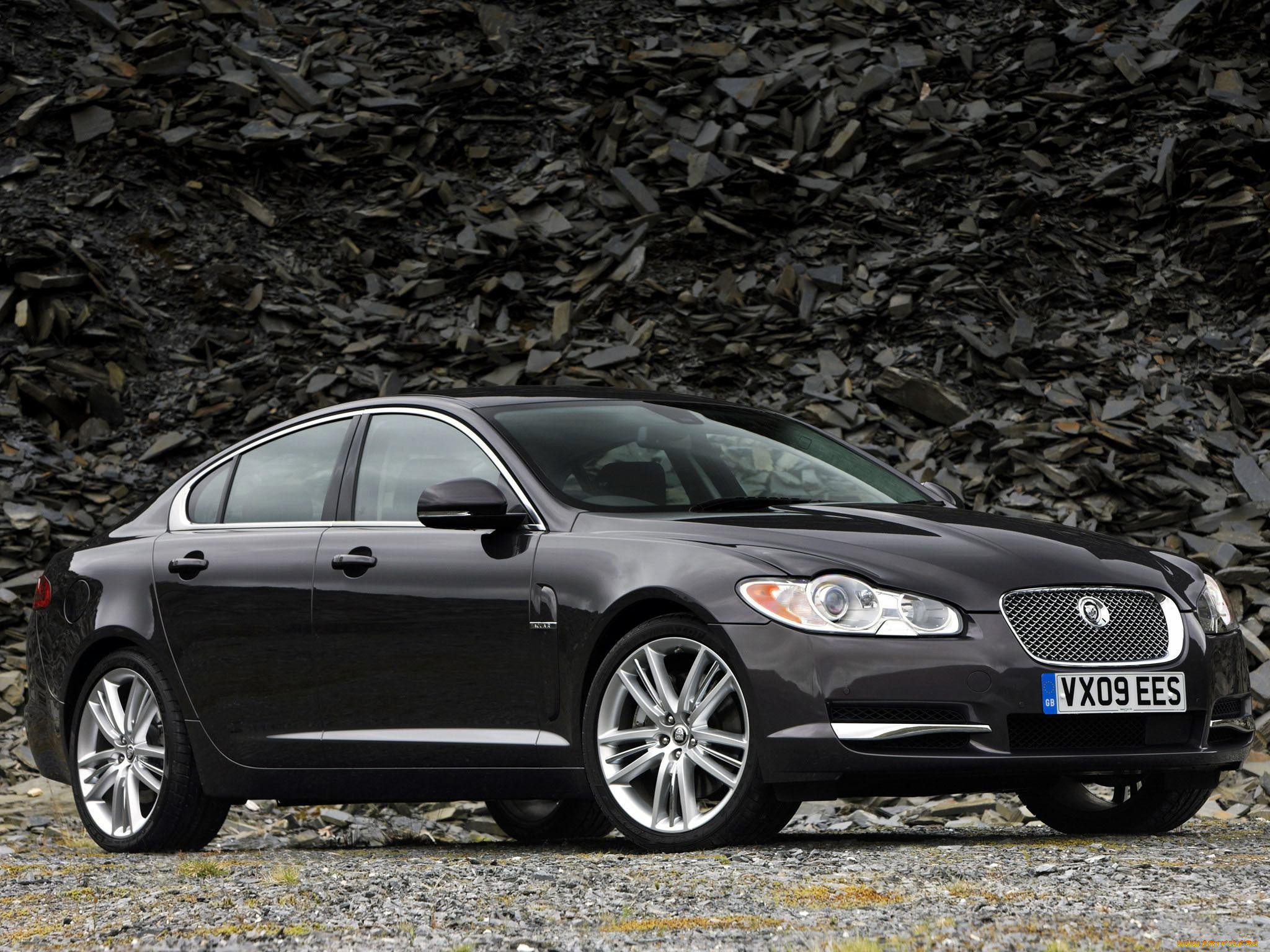, jaguar